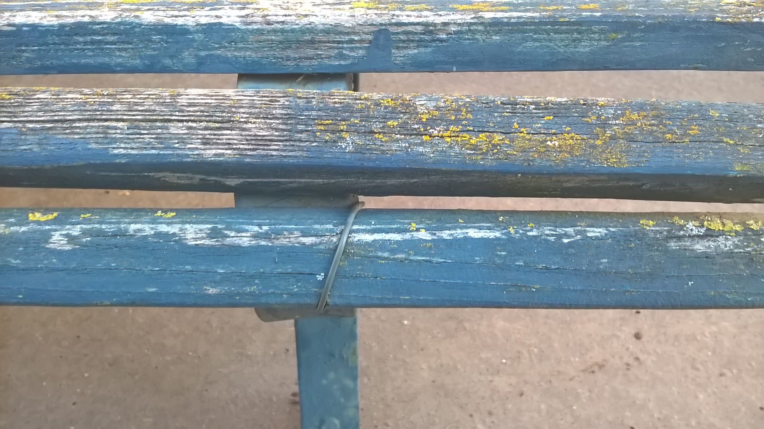 Old garden bench