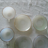 6 cups arcopal iridescent opalesquin harlequin