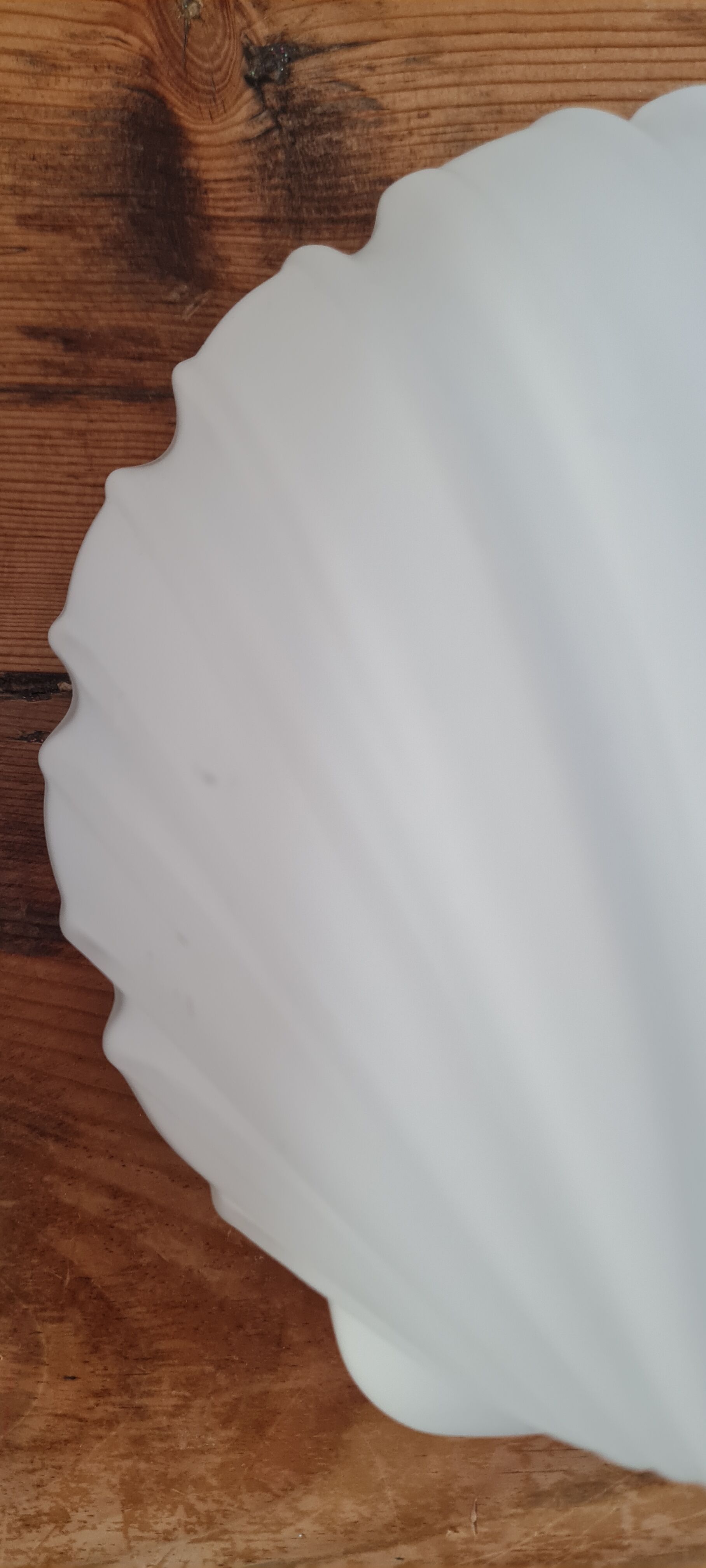 White opaline shell wall lamp