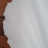 White opaline shell wall lamp