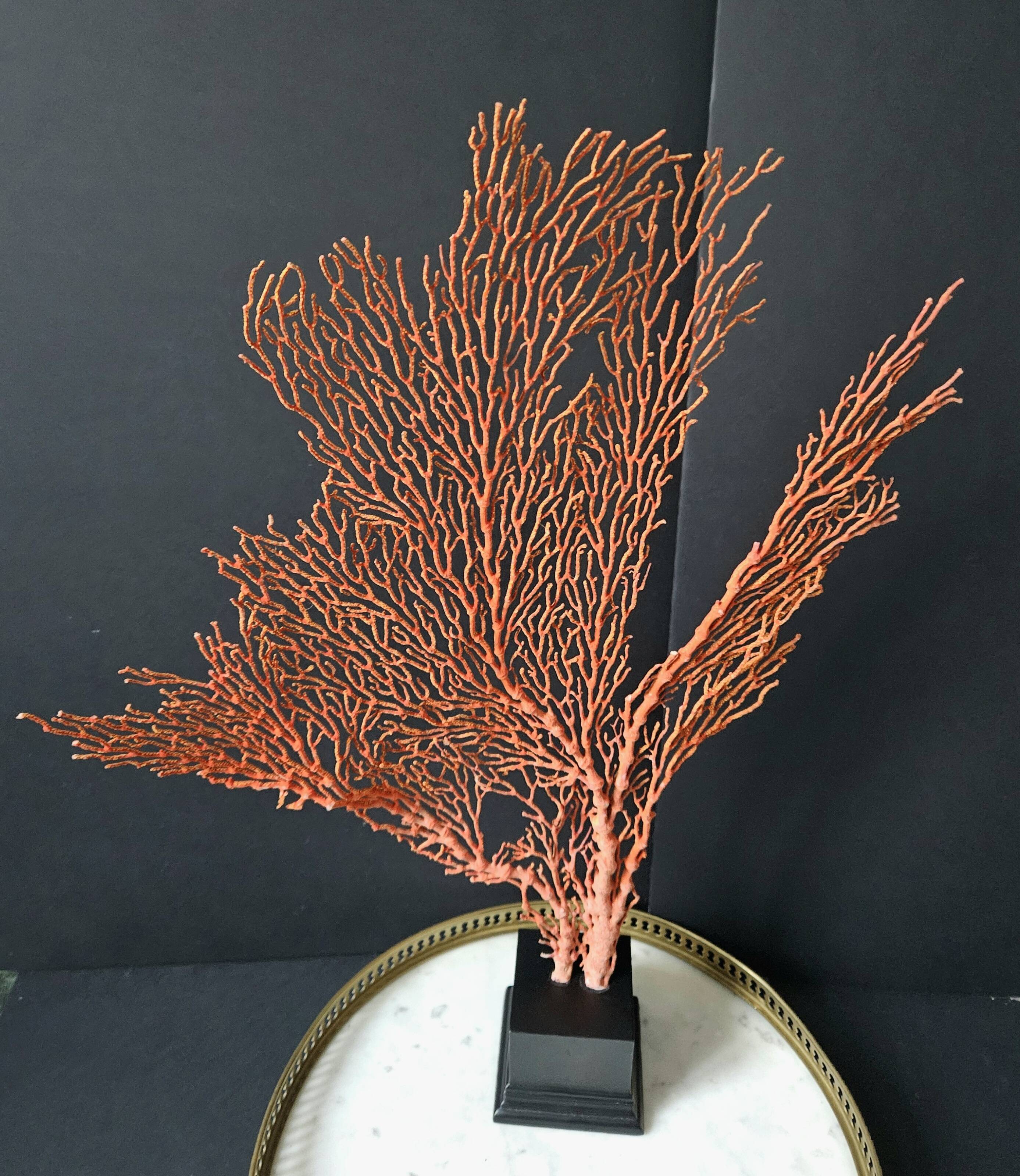 Gorgone Rouge XXL Wooden Base. H: 47 cm | Decorative Object l PlaceOdd