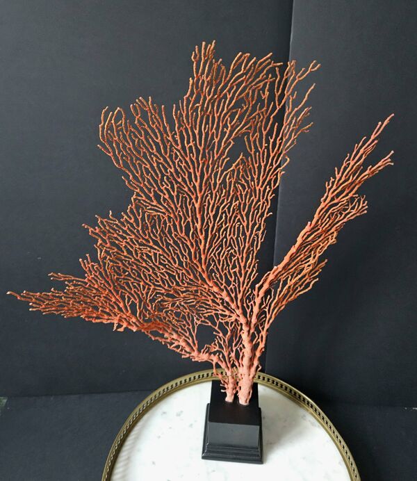 Gorgone Rouge XXL Socle en bois. H : 47 cm   Objet de Décoration l PlaceOdd