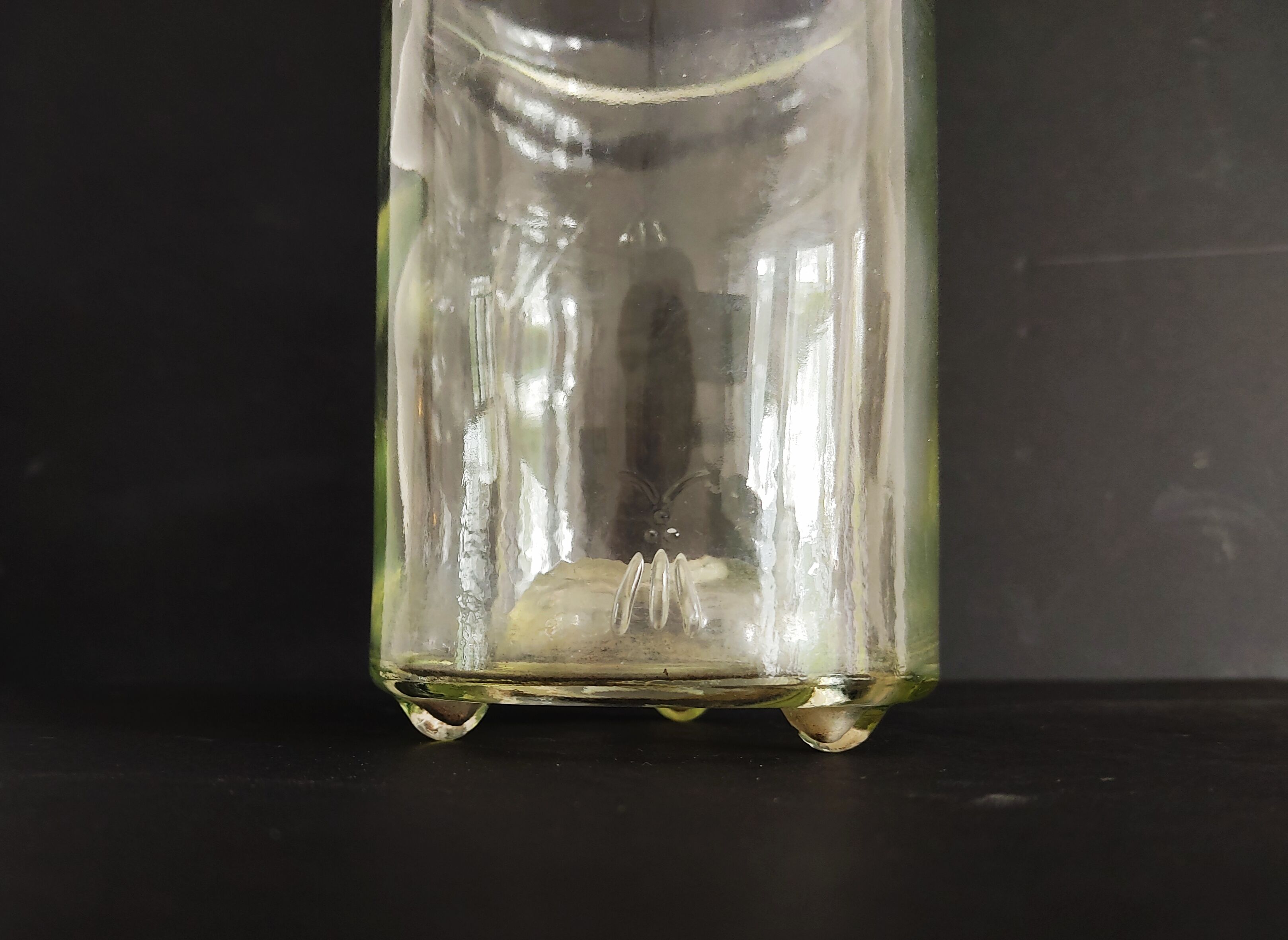 Flies and wasps gap early 20th