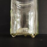 Flies and wasps gap early 20th