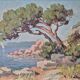 Bord de côte par Leflorentin