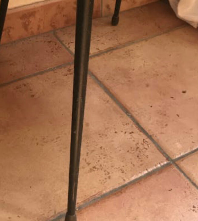 Vintage Tonneau Chair