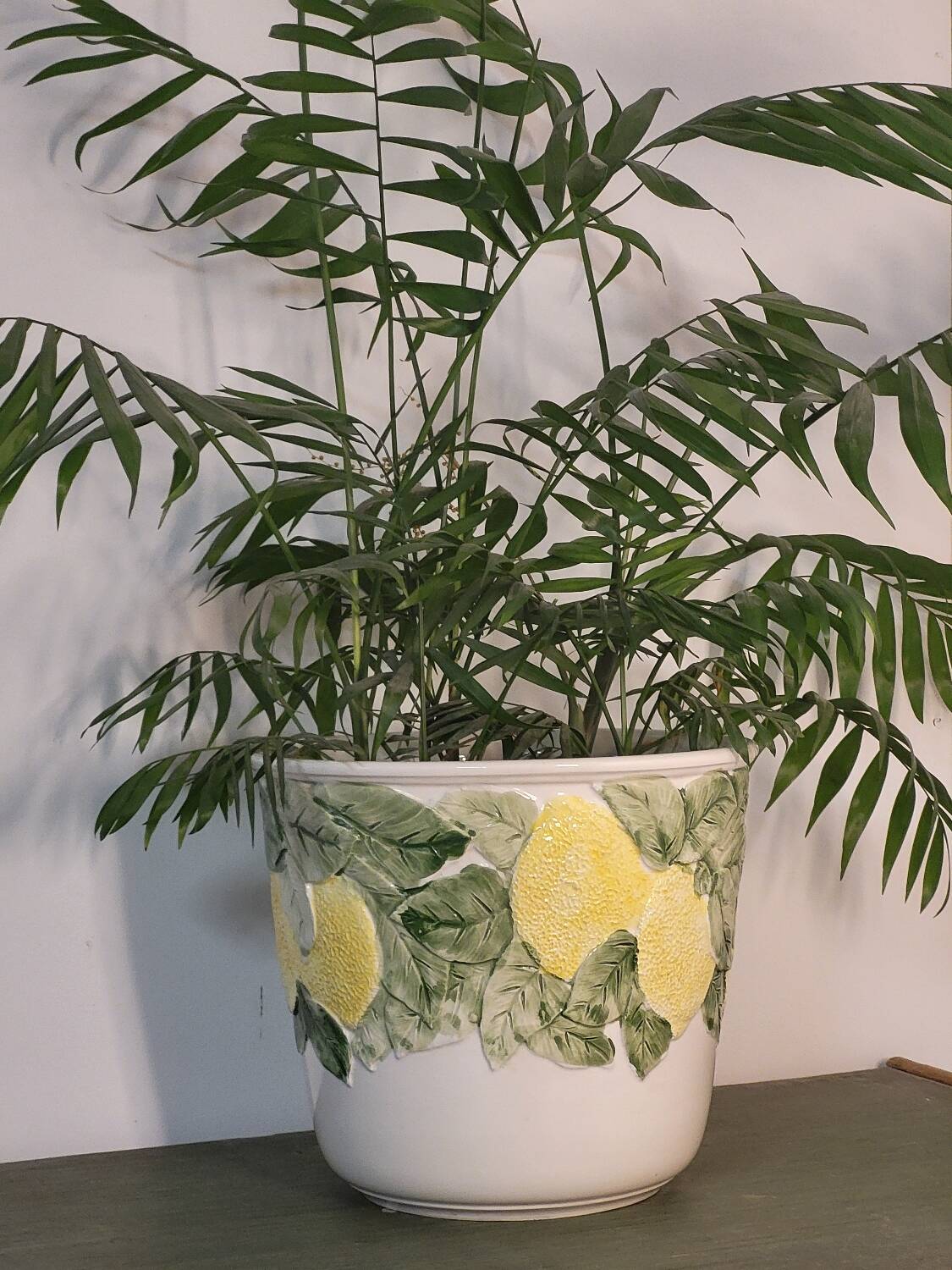 Lemon plant pot