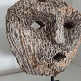 Coral mask
