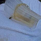 Vintage Murano wall light