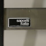 Pair of chairs wave - design Gianni Offredi - publisher Saporiti Italia - 1970