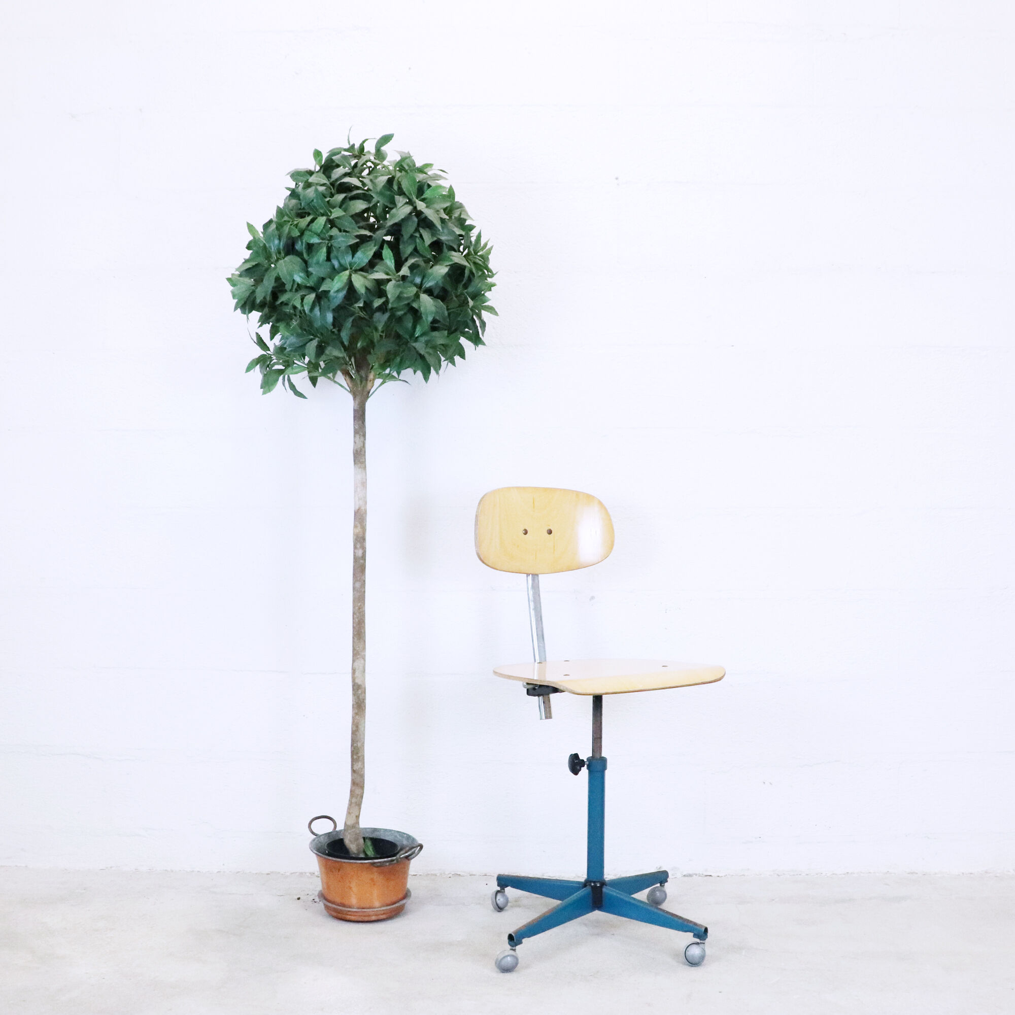 Roulette rotary architect chair