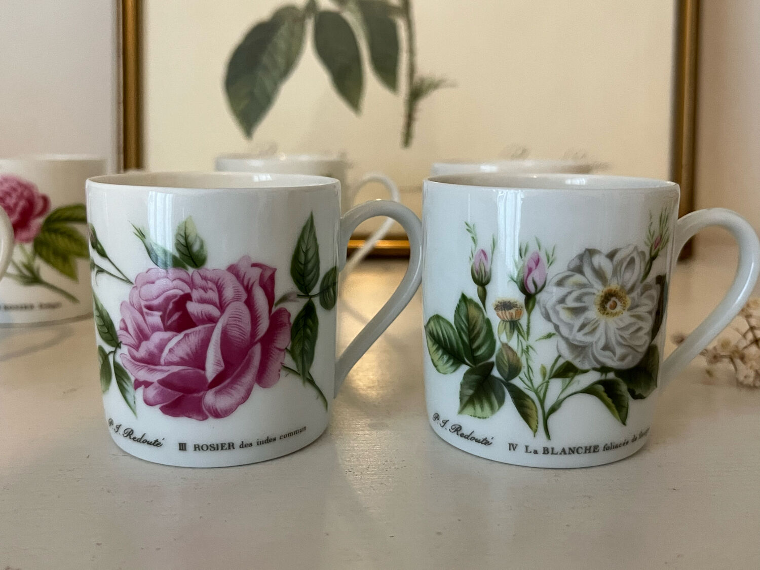 Porcelain cups rose pattern