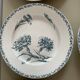 Set of 10 Lunéville ironstone soup plates, Oeillet model