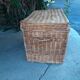 Wicker trunk