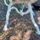 Old garden bench with cast iron feet and wooden planks