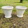 Pair of Grandon Fres pots