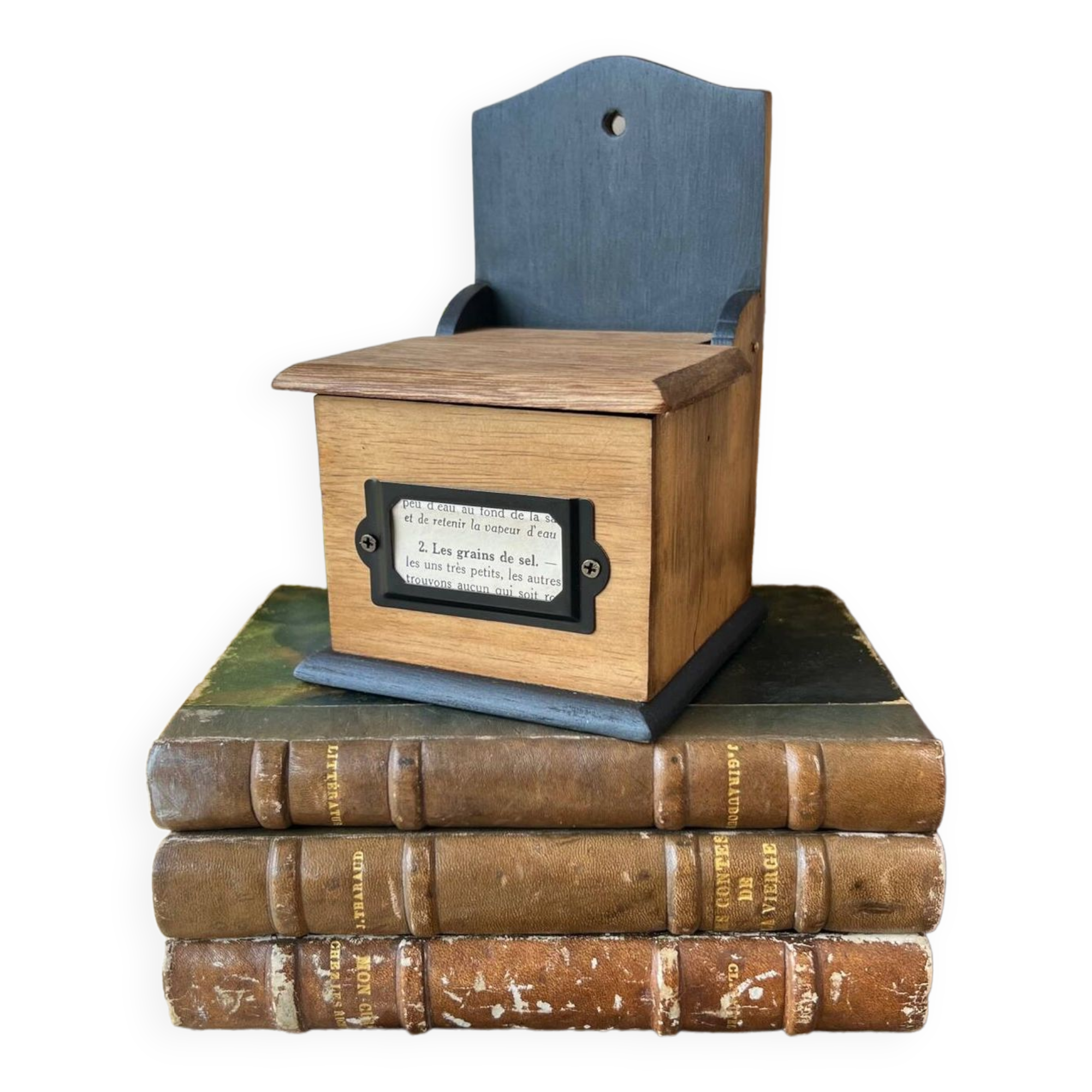 Small “grains of salt” salt box