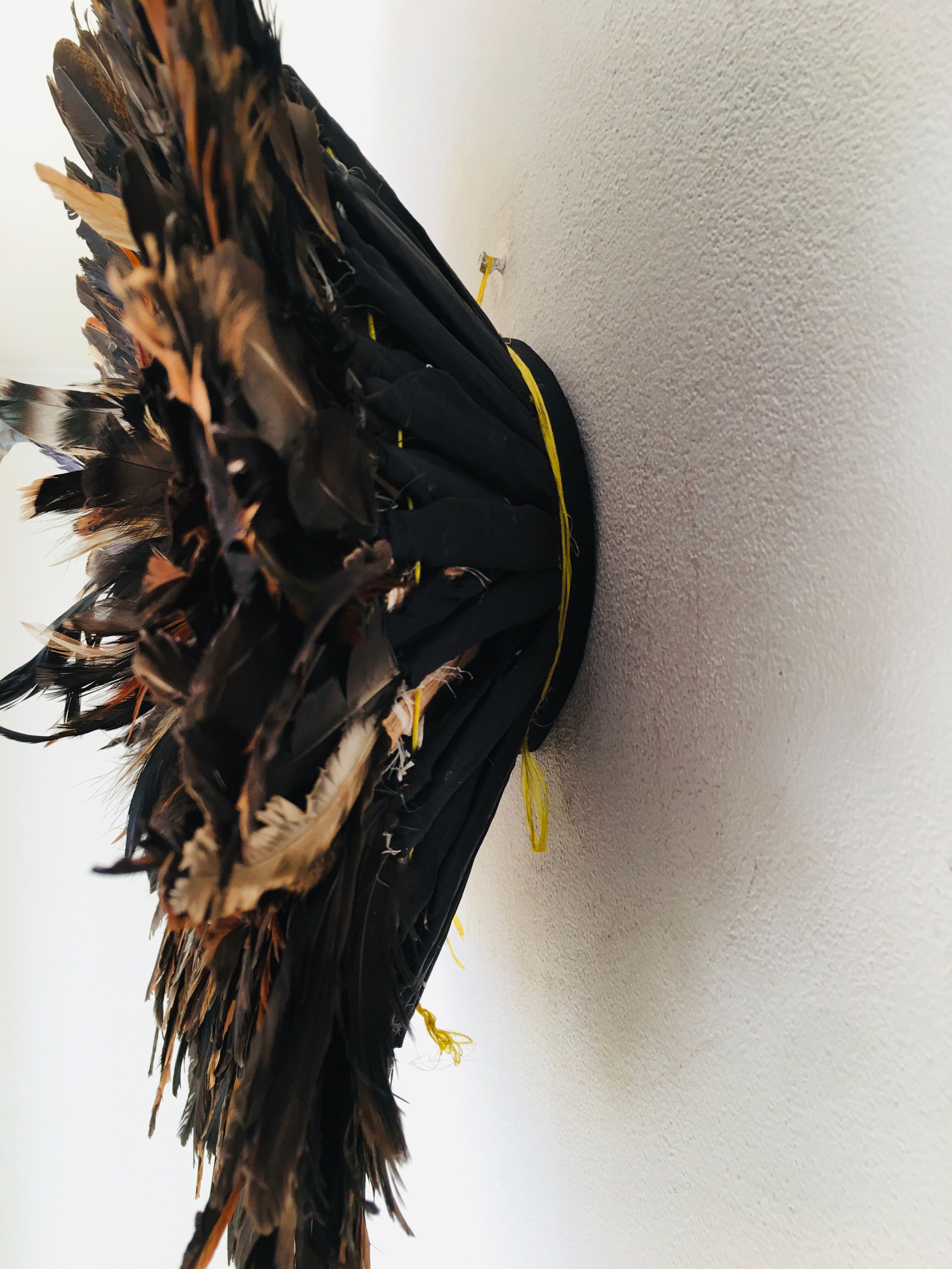 Speckled black jujuhat 55 cm