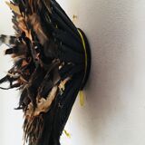 Speckled black jujuhat 55 cm