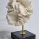 Old white coral on black veined marble base, 16 cm
