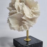 Old white coral on black veined marble base, 16 cm