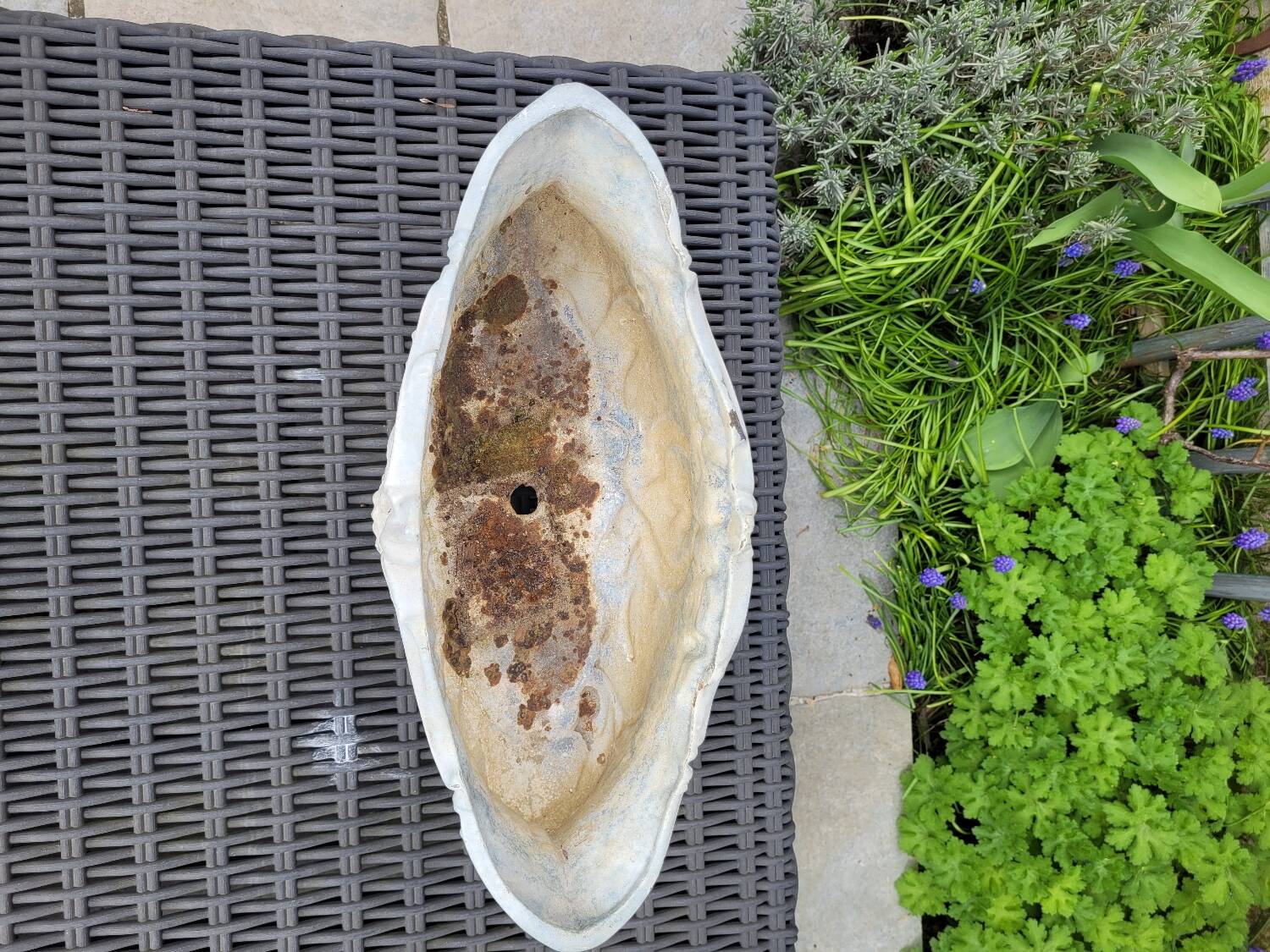 Antique cast iron planter