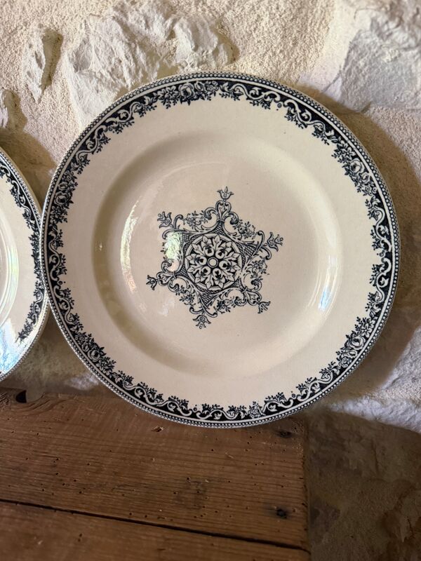 Assiettes plates Jules Vieillard Bordeaux en terre de fer