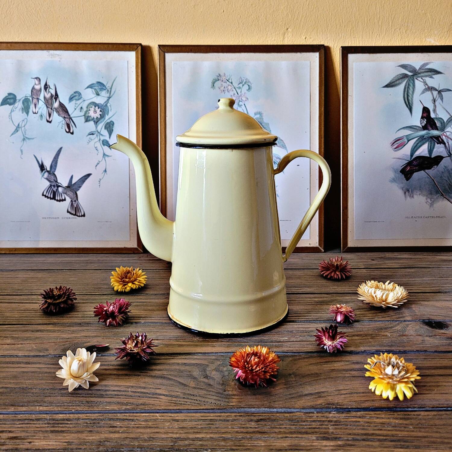 Ancienne cafetière émaillée beige, complète, pour utilisation ou à décorer