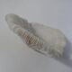 Corail blanc 314g