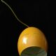 Lampe oeuf 70s