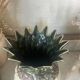 Paire de vases ananas en grès Rhoda