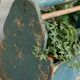 Trendy workshop maid Wabi Sabi