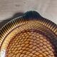 Assiettes et plat poisson Sarreguemines
