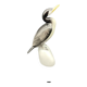Porcelain bird Hollóháza – Vintage Hungarian sculpture from the 1960s
