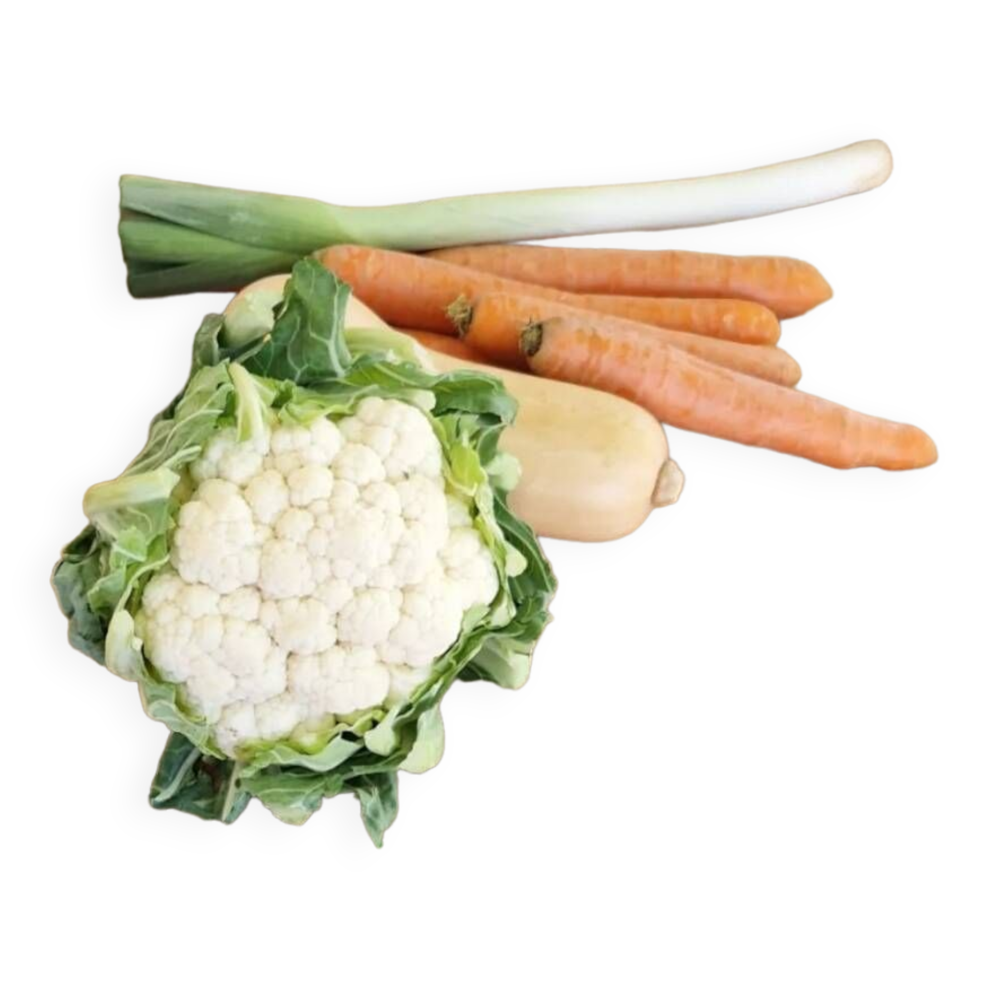 Professional furniture