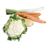 Professional furniture