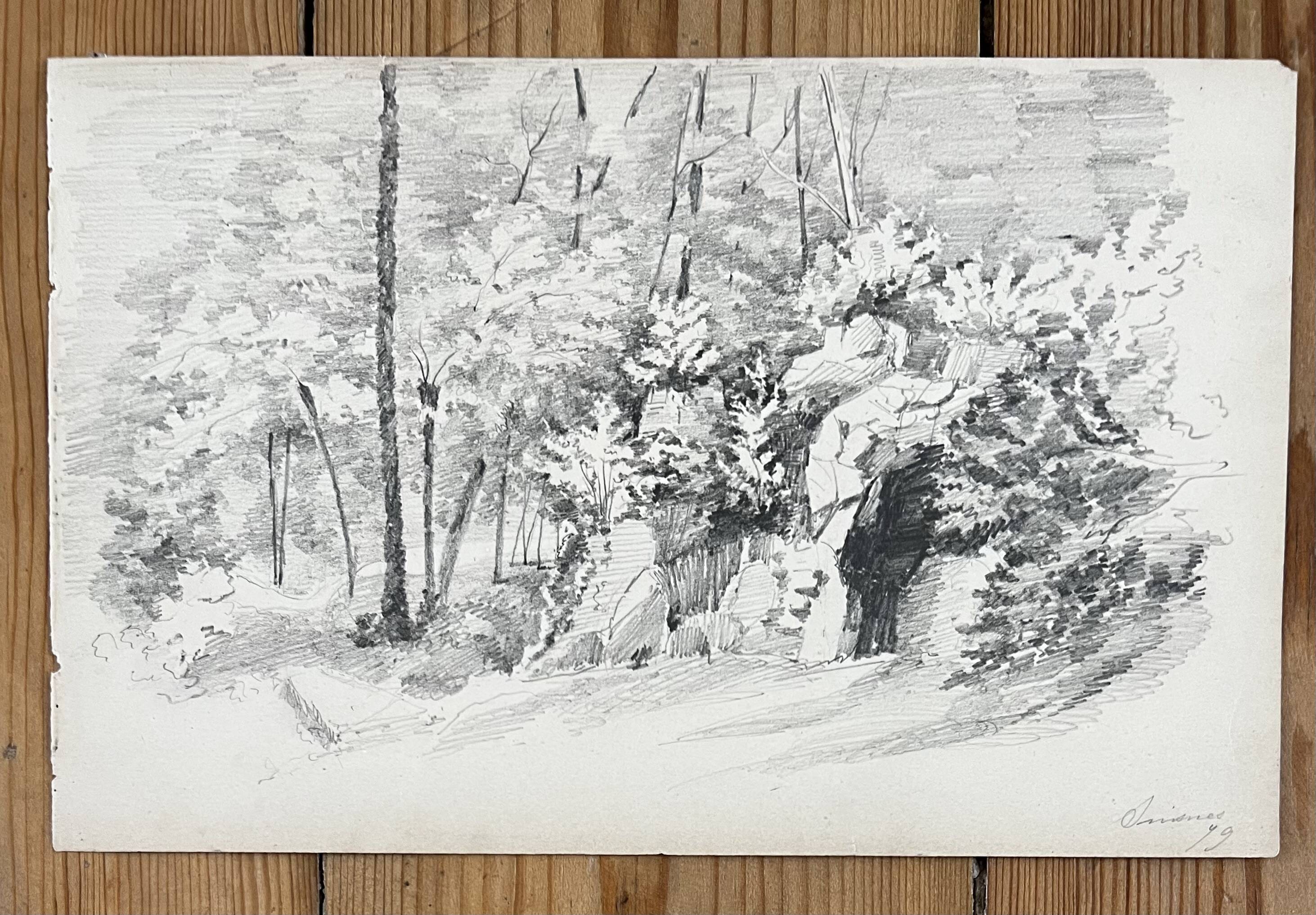 Landscape drawing: in the Forest of Asnières - 49
