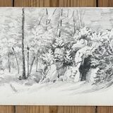 Landscape drawing: in the Forest of Asnières - 49