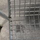 Pair of Rio armchairs by Emu