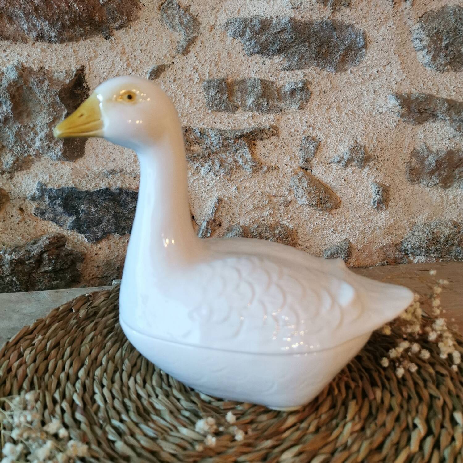 Barbotine Terrine White Goose Michel Caugant