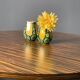 Une paire de vases verts et jaunes