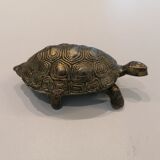 Turtle jewel box