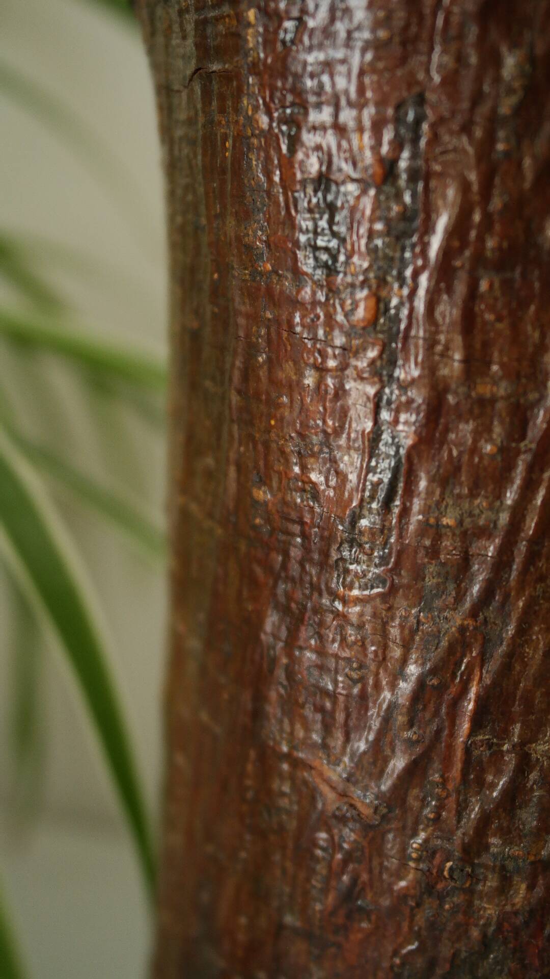 Primitive vintage wooden vase