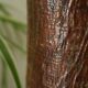 Primitive vintage wooden vase
