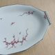 Vintage Limoges porcelain presentation dish