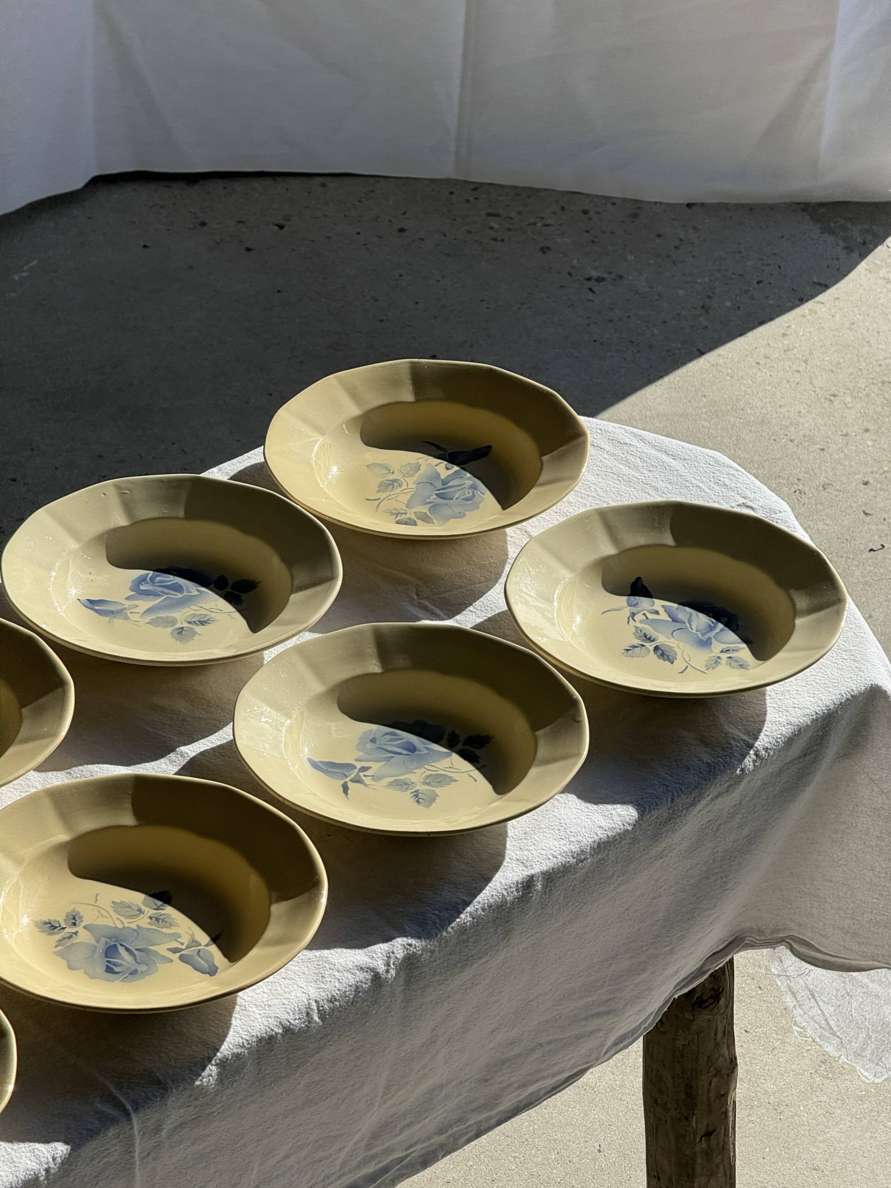 Set of 12 beige, pink, and blue deep plates from Digoin Sarreguemines, vintage.