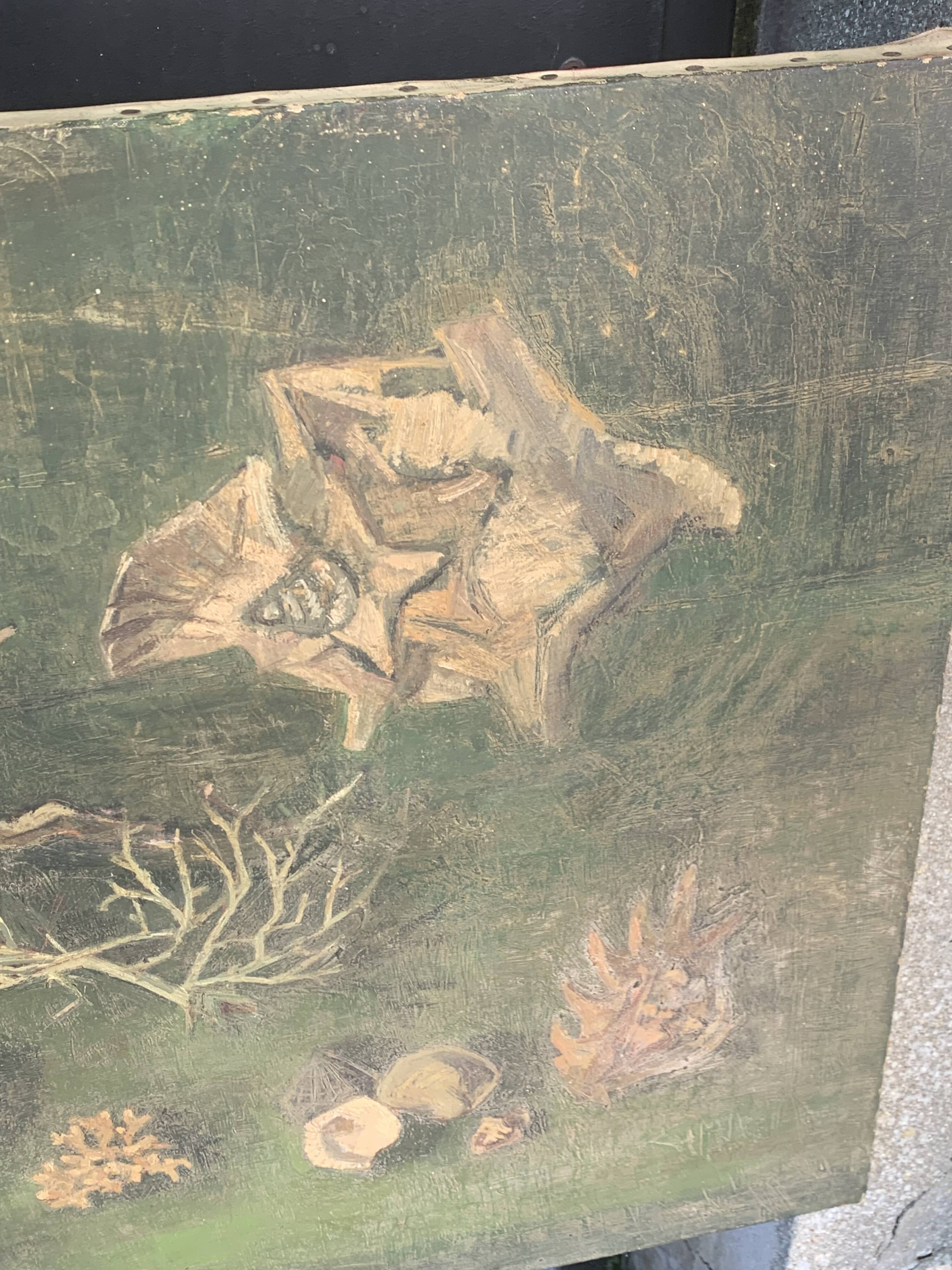 Large painting of shells, cabinet of curiosities, sign, vintage