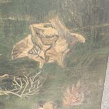 Large painting of shells, cabinet of curiosities, sign, vintage