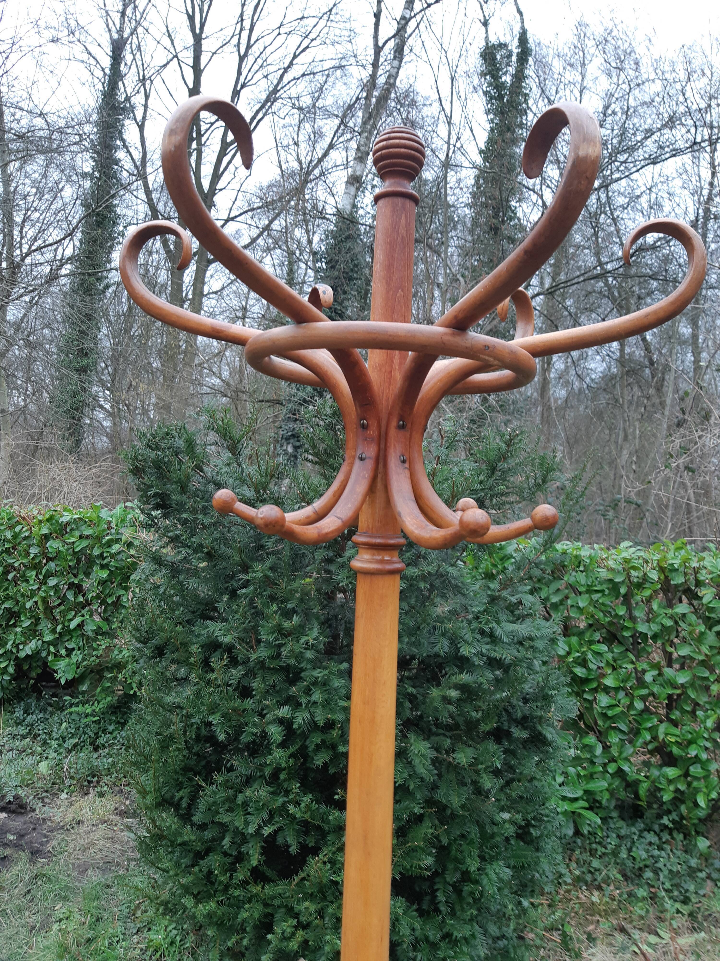 Portemanteau perroquet