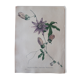 Botanical plank Passiflora Coeruleo Racemosa , lithographed and colored, Sertum Botanicum 1832